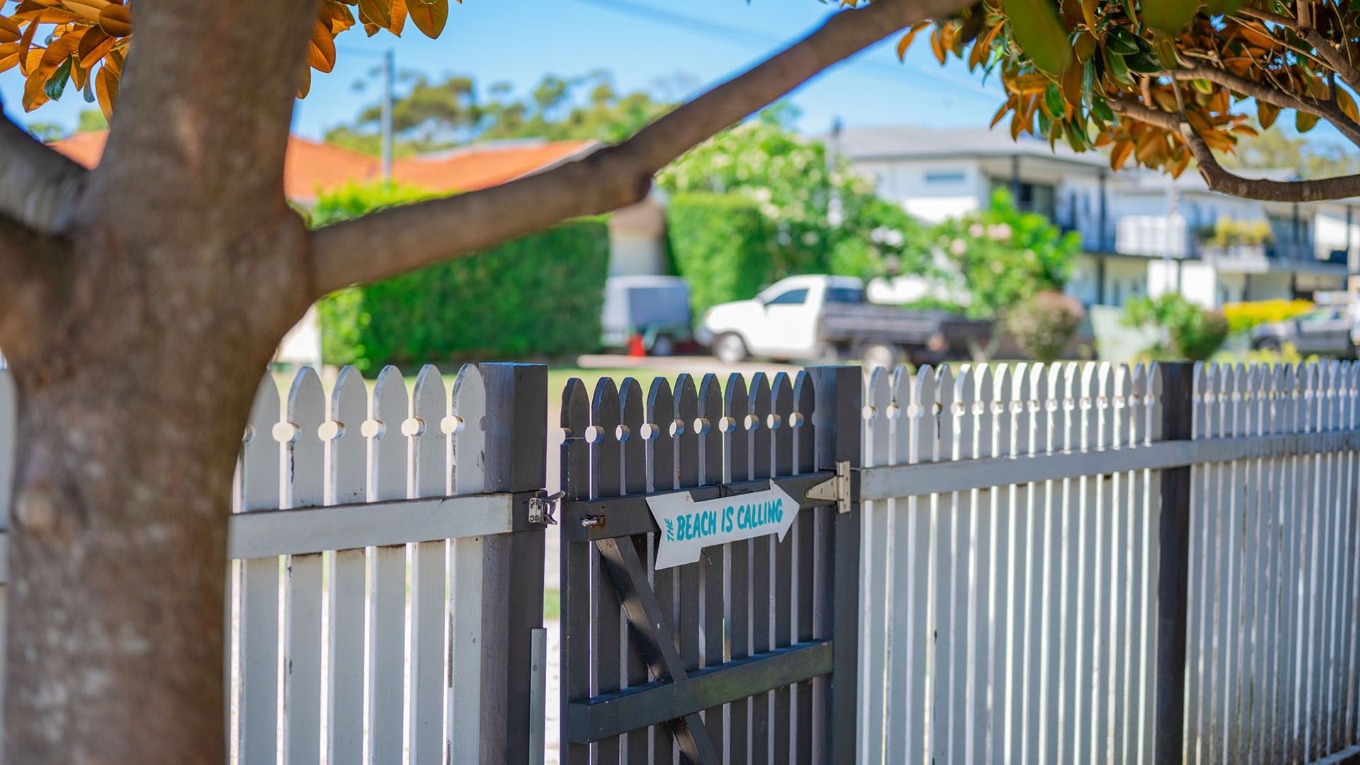 Harrys Pet Friendly Holiday House The Bay Holidays